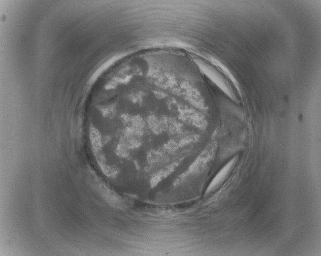 X0000082720975200702232317