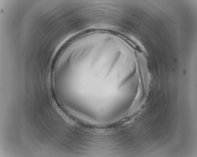 X0000082720976200702232317