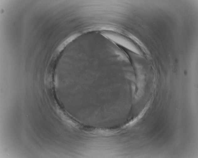 X0000082720977200702232317