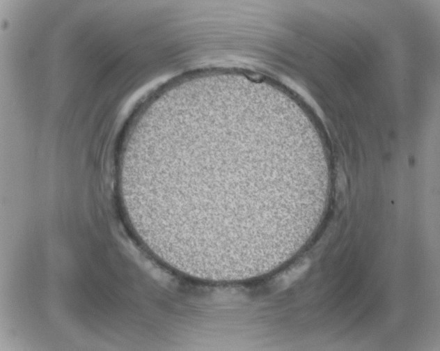 X0000082720979200702232317