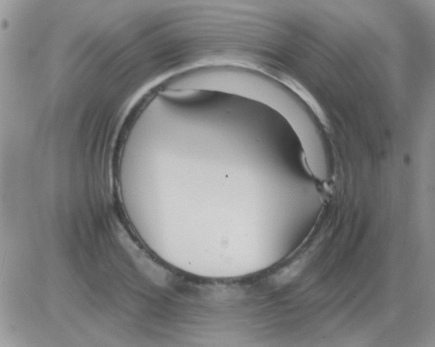 X0000082720980200702232317