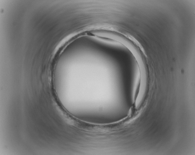 X0000082720981200702232317