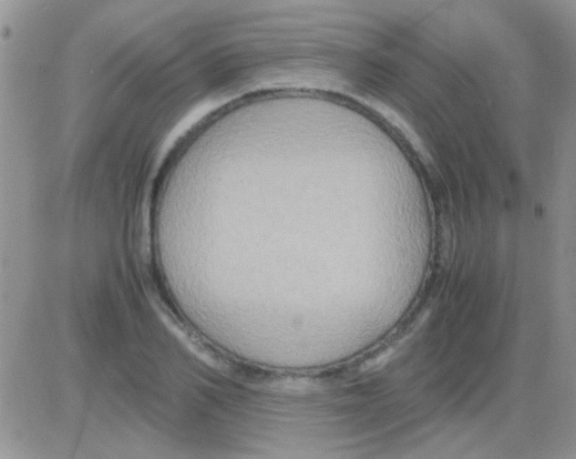 X0000082720982200702232317