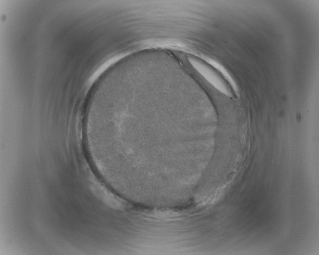 X0000082720983200702232317