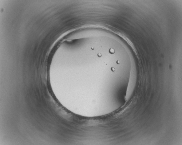 X0000082720984200702232317