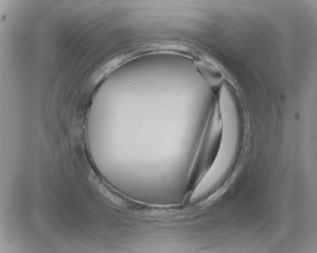 X0000082720985200702232317