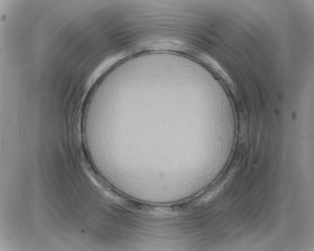 X0000082720986200702232317