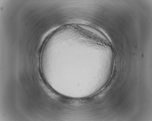 X0000082720987200702232317