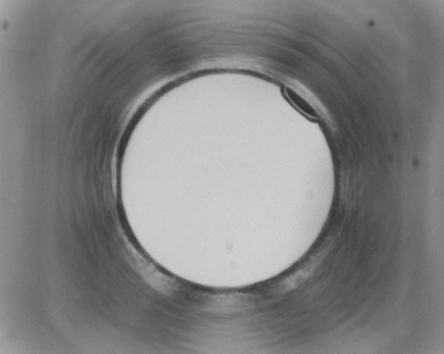 X0000082720988200702232317