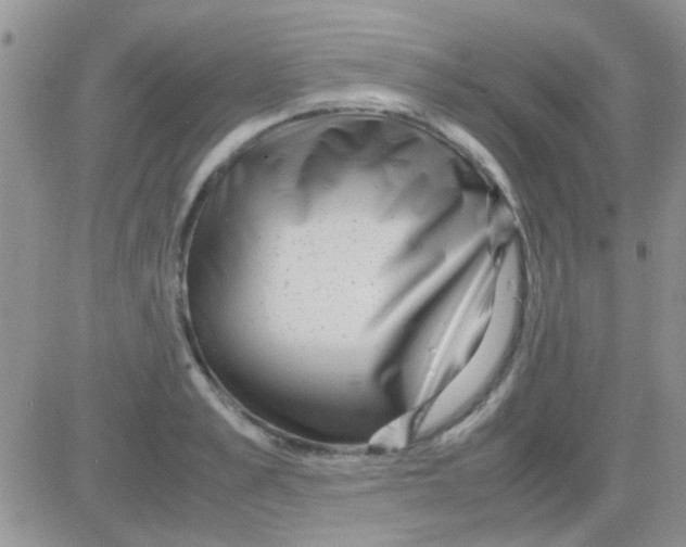 X0000082720989200702232317