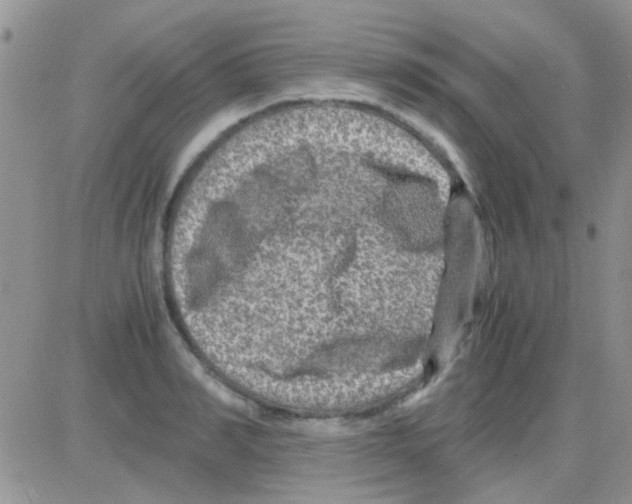 X0000082720990200702232317