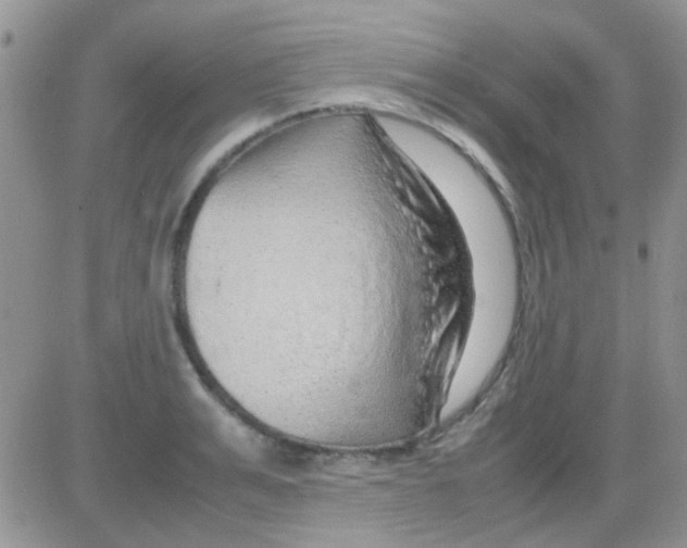 X0000082720991200702232317