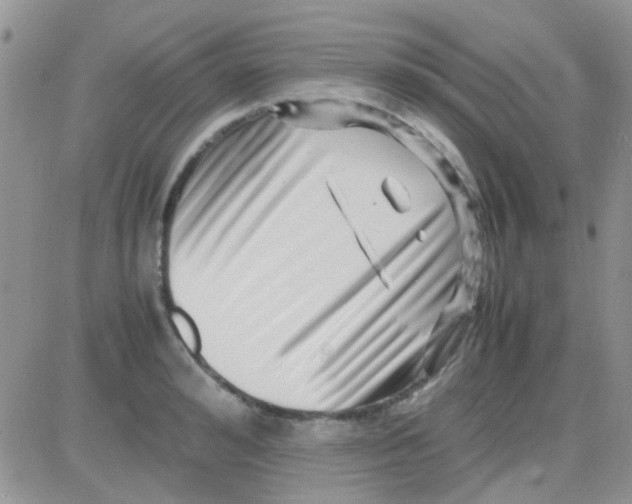 X0000082720992200702232317