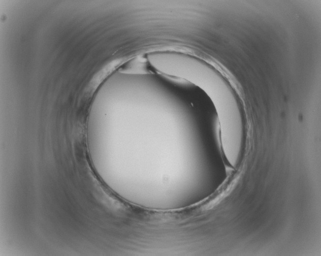 X0000082720993200702232317