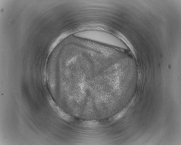 X0000082720994200702232317