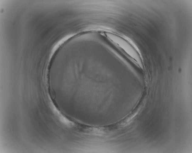 X0000082720995200702232317