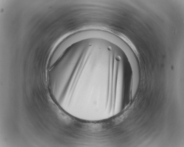 X0000082720996200702232317