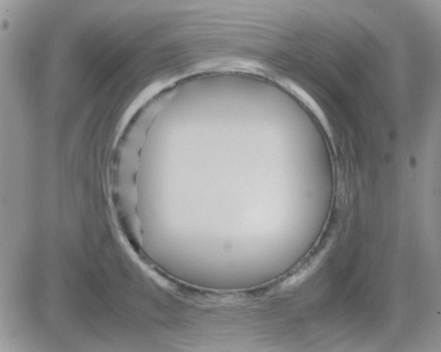 X0000082720997200702232317