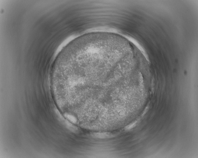 X0000082720998200702232317