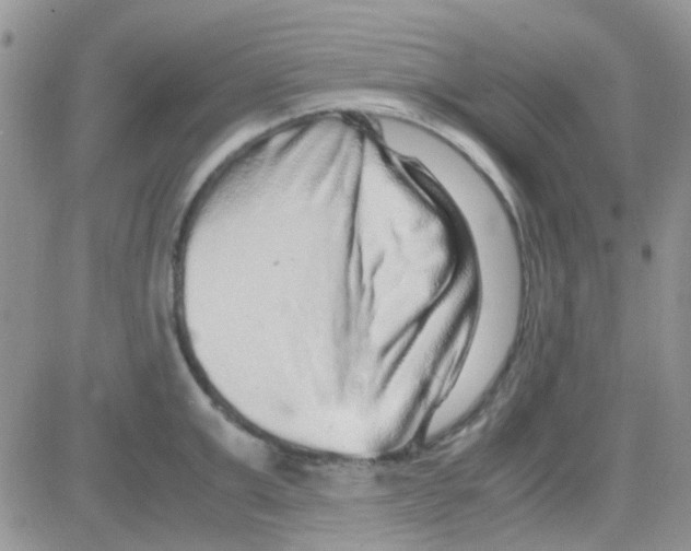 X0000082720999200702232317