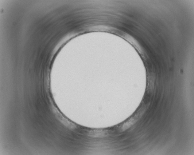 X0000082721000200702232317