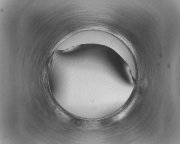 X0000082721001200702232317