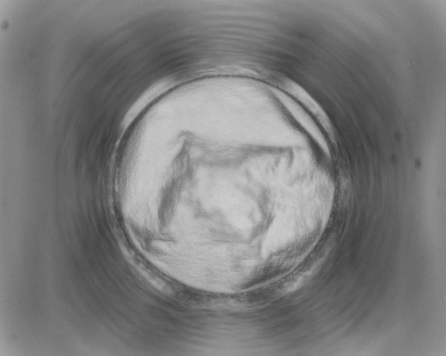 X0000082721002200702232317