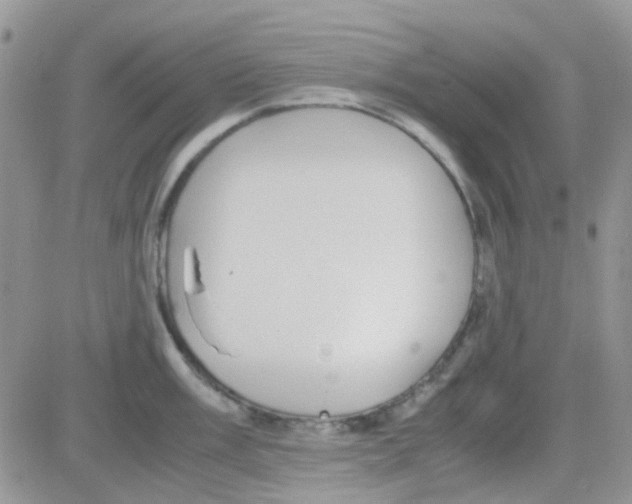 X0000082721003200702232317