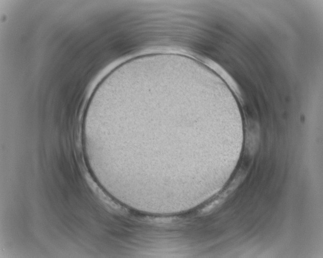 X0000082721004200702232317