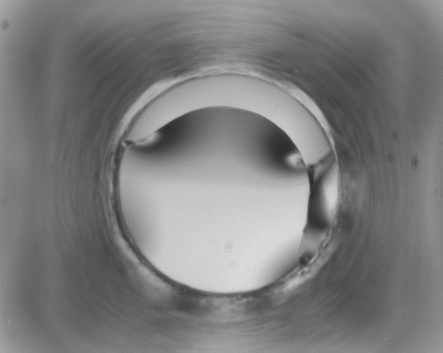 X0000082721005200702232317