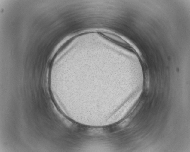 X0000082721006200702232317