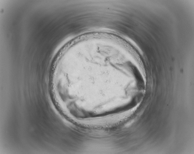 X0000082721007200702232317