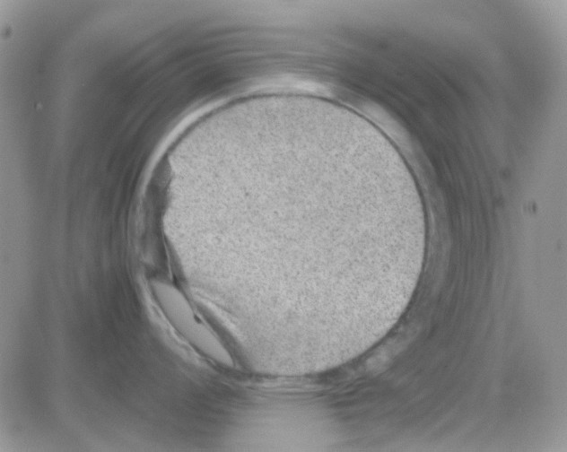 X0000082721008200702232317