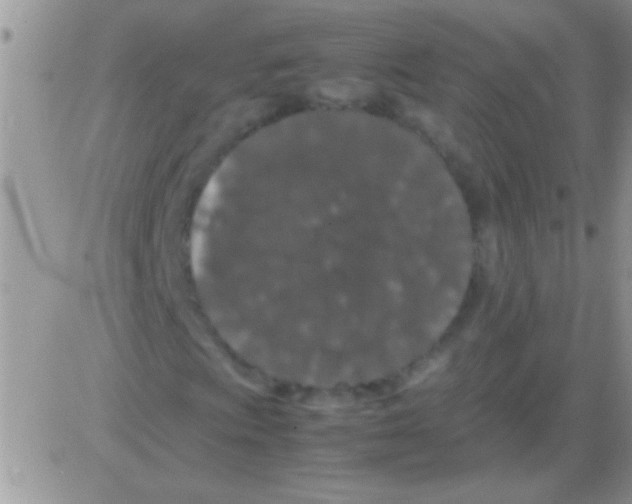 X0000082721009200702232316