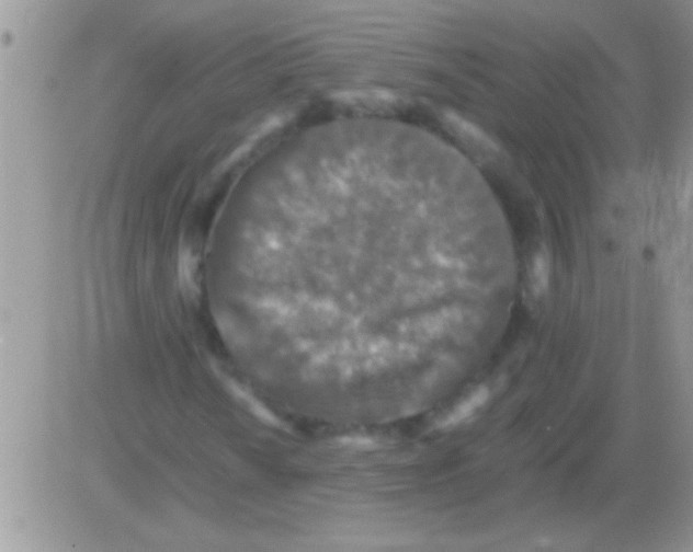 X0000082721010200702232316