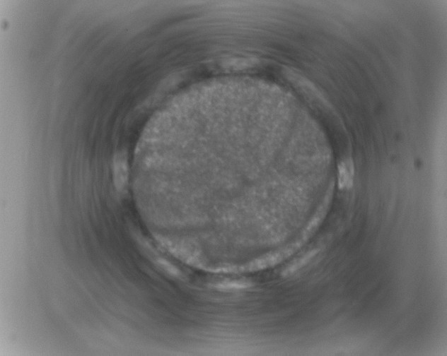 X0000082721011200702232316