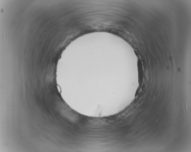 X0000082721012200702232316