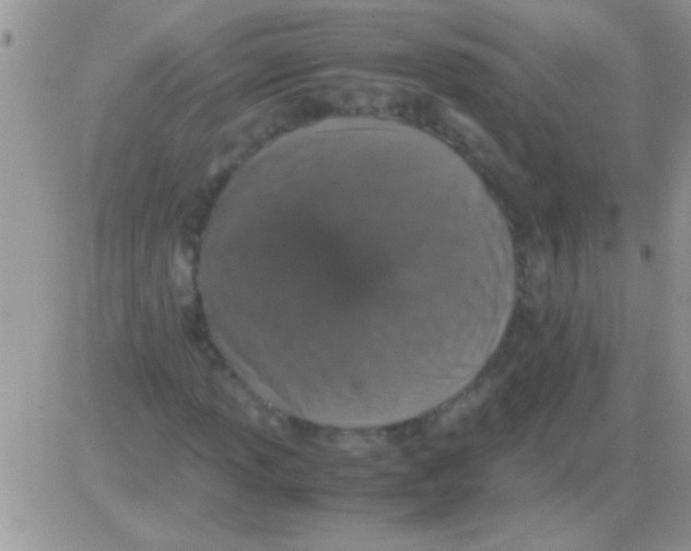 X0000082721013200702232316