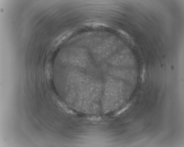 X0000082721014200702232316