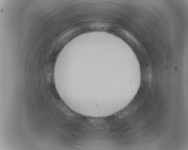 X0000082721015200702232316