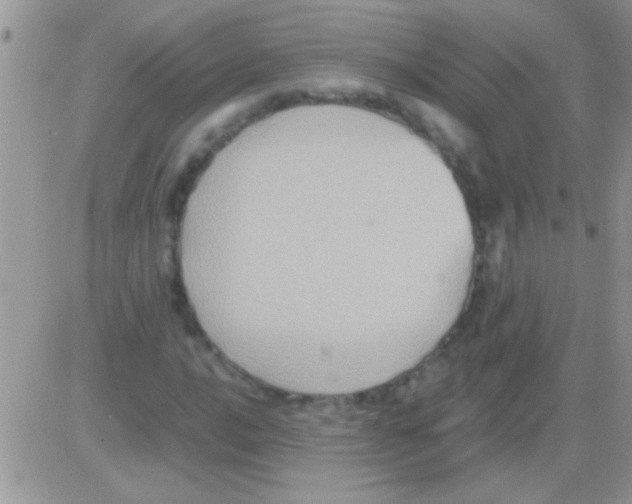 X0000082721016200702232316