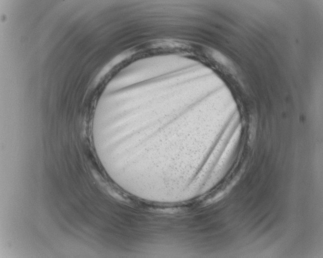 X0000082721017200702232316