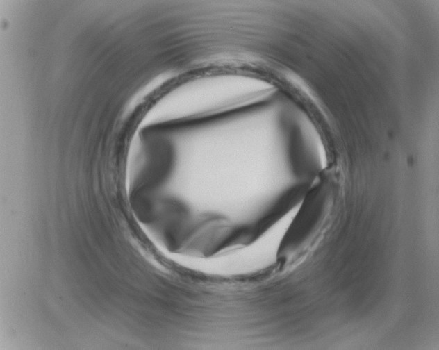 X0000082721018200702232316