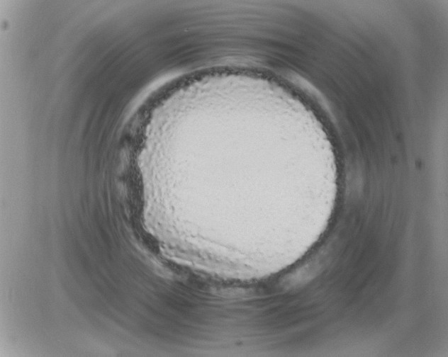 X0000082721019200702232316