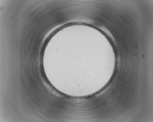 X0000082721020200702232316