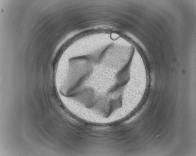 X0000082721021200702232316