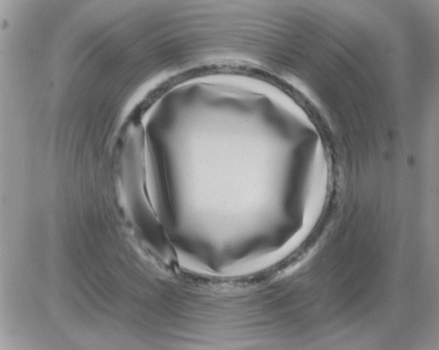 X0000082721022200702232316