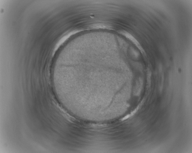 X0000082721023200702232316