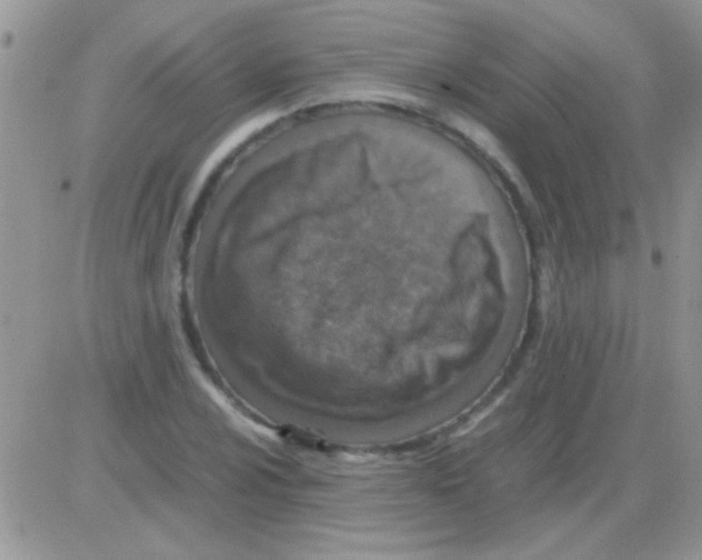 X0000082721024200702232316