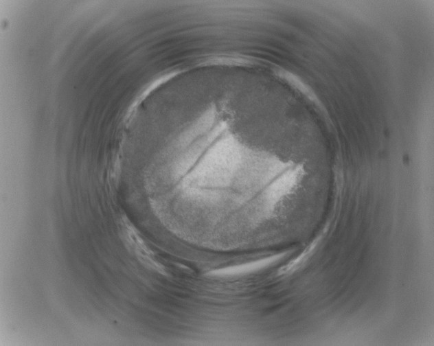 X0000082721025200702232316